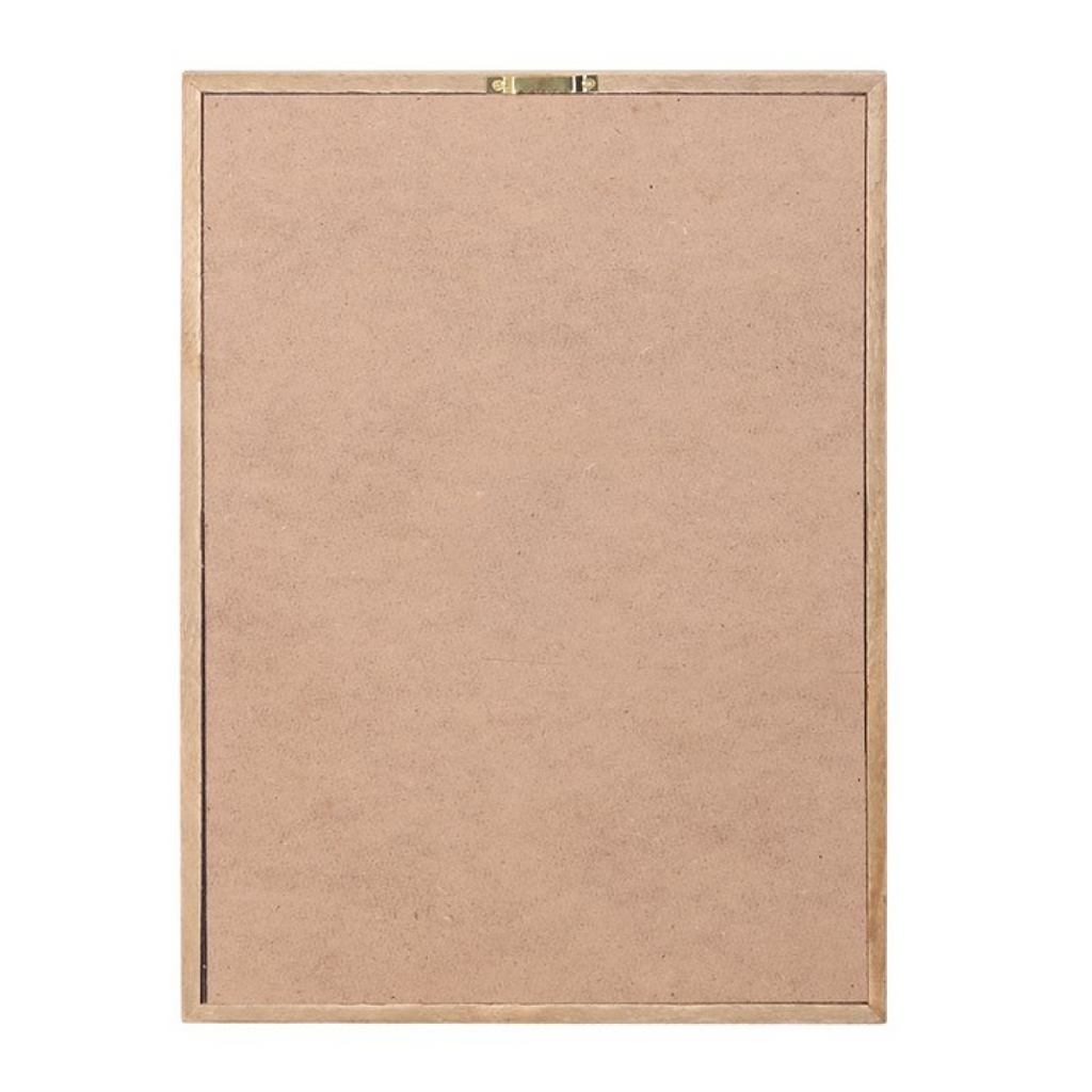 Poisonous Plants Framed Wall Art Print